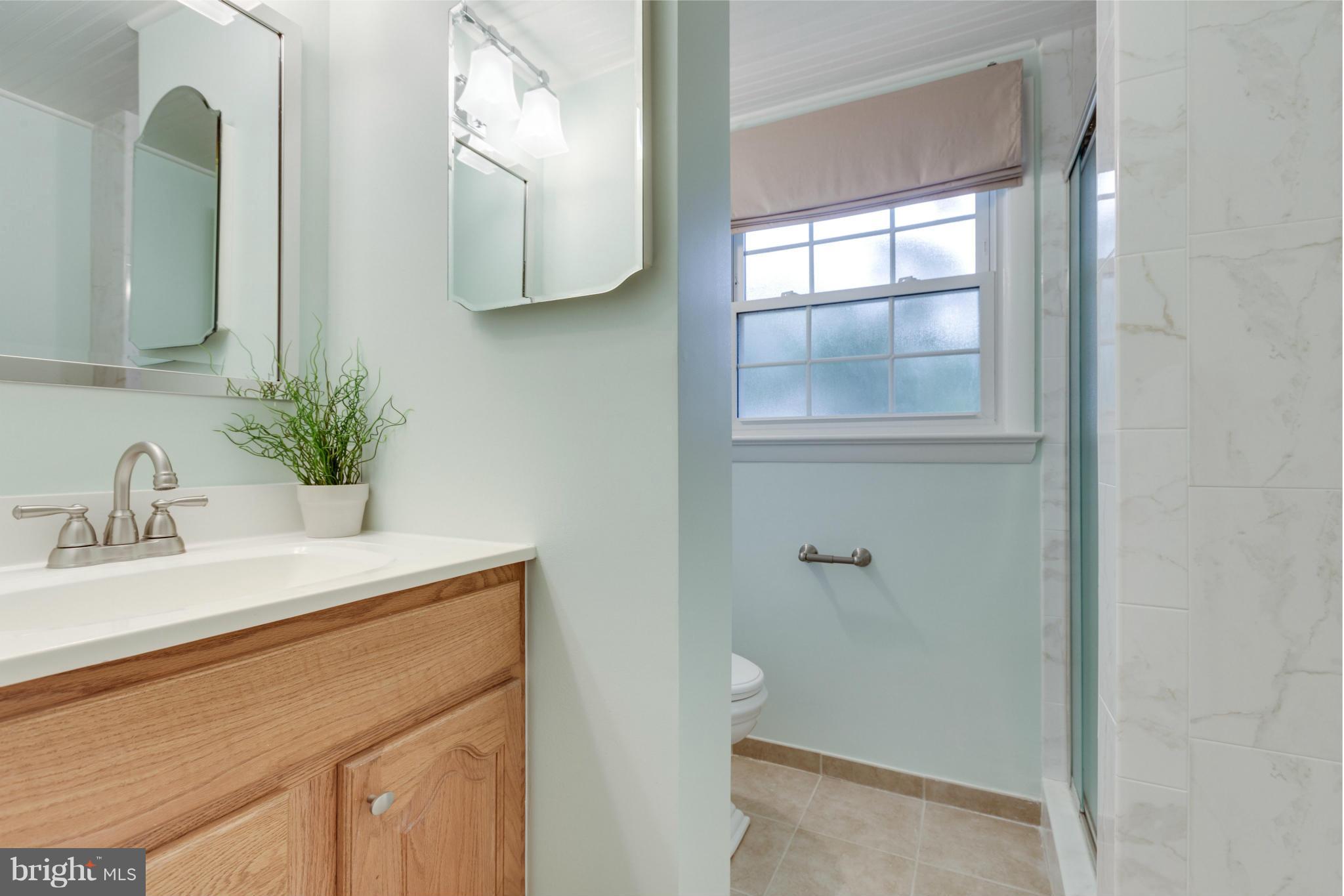 5613 Ashfield Road Alexandria, VA 22315 - Photo 26 of 30 Full bath lower level