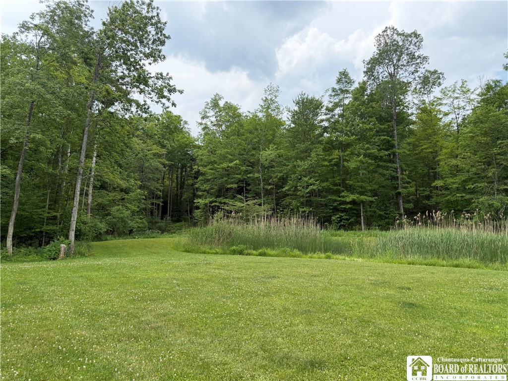 9039 Kidder Road Mina, NY 14781 - Photo 11 of 48