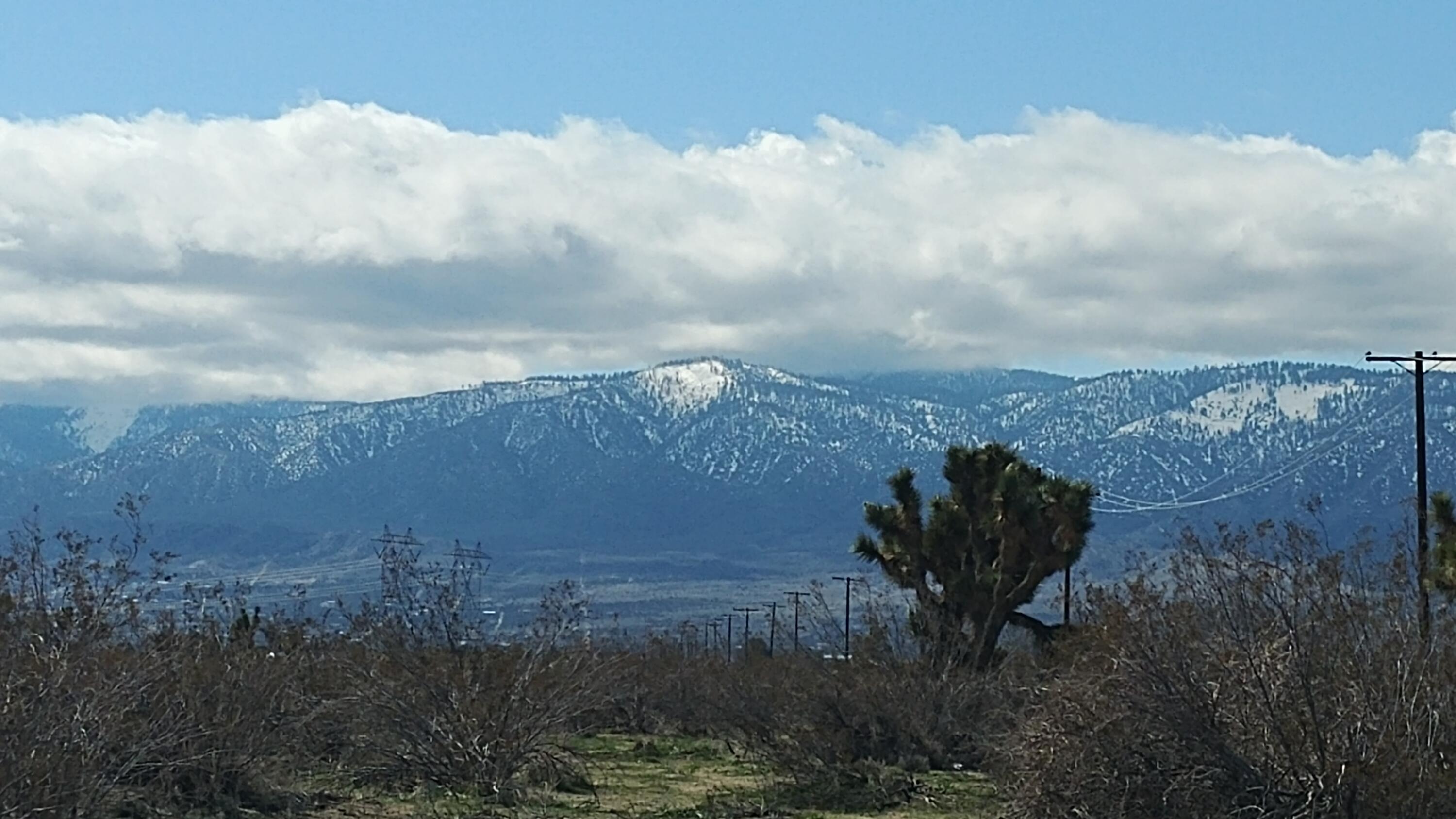 263rd Street East Llano, CA 93544 - Photo 1 of 3 a view of a yard in front of the house