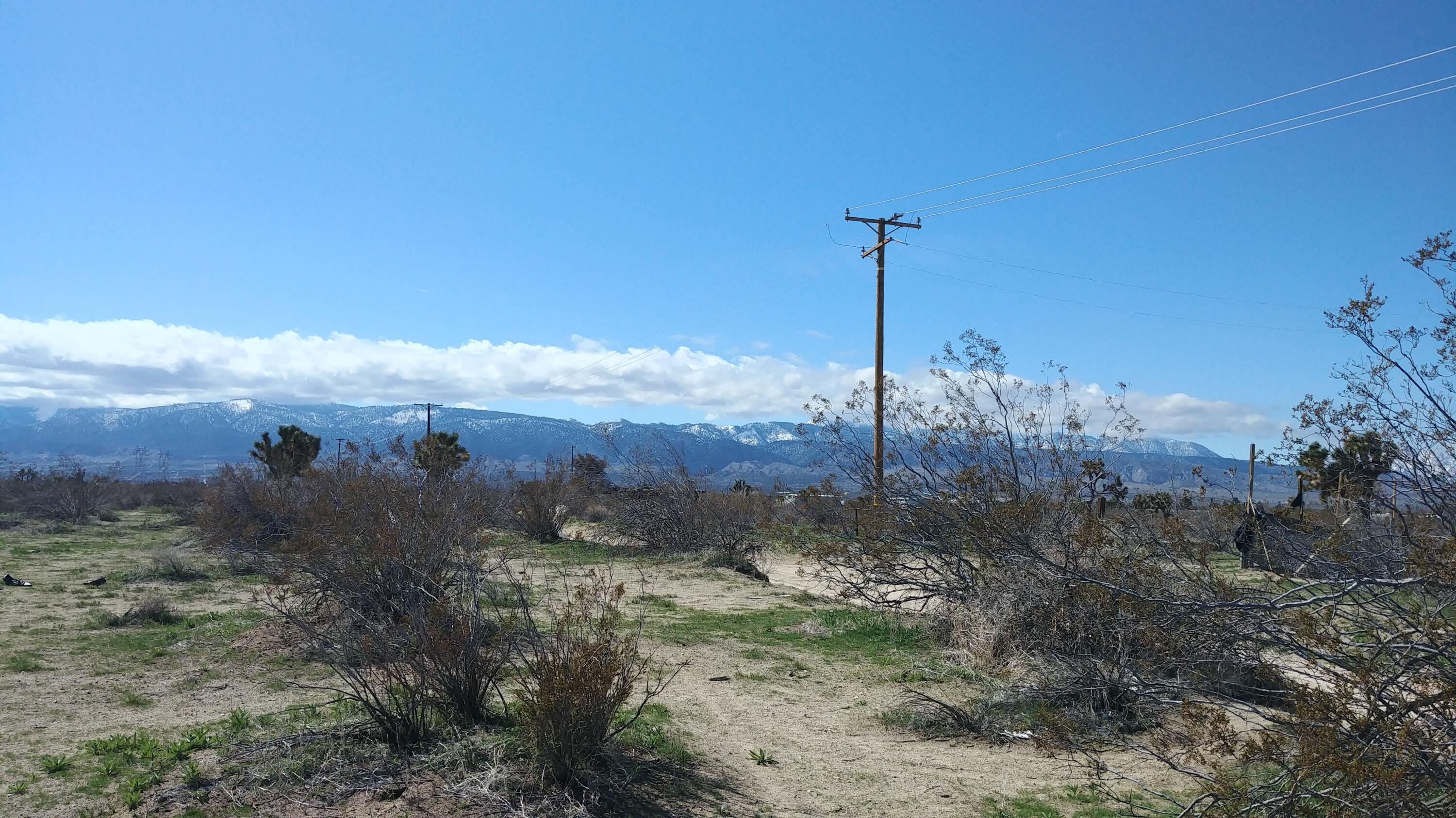 263rd Street East Llano, CA 93544 - Photo 3 of 3 a view of a city with a mountain in the background