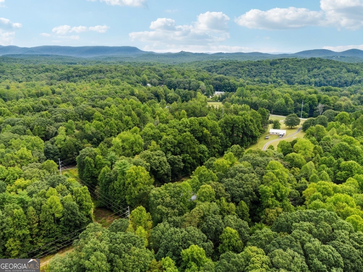 380 Guy Wimpy Road, Unit LOT 2 Dahlonega, GA 30533 - Photo 16 of 23