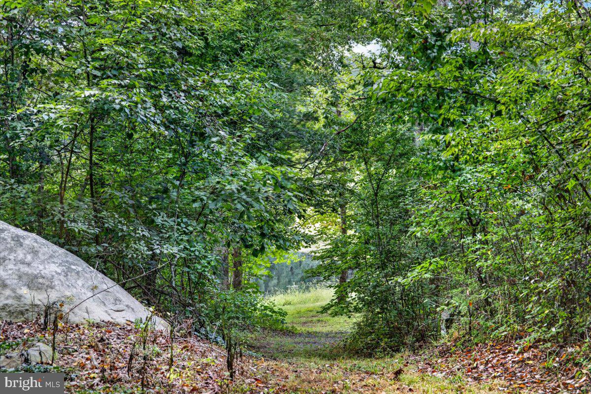 168 Alma Road Louisa, VA 23093 - Photo 39 of 40 Gallery Image 39