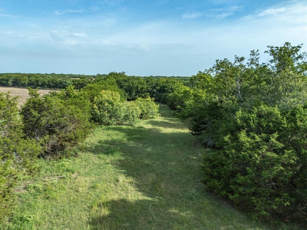 3506 County Road 1106 Rio Vista, TX 76093 - Photo 19 of 40 View of nature