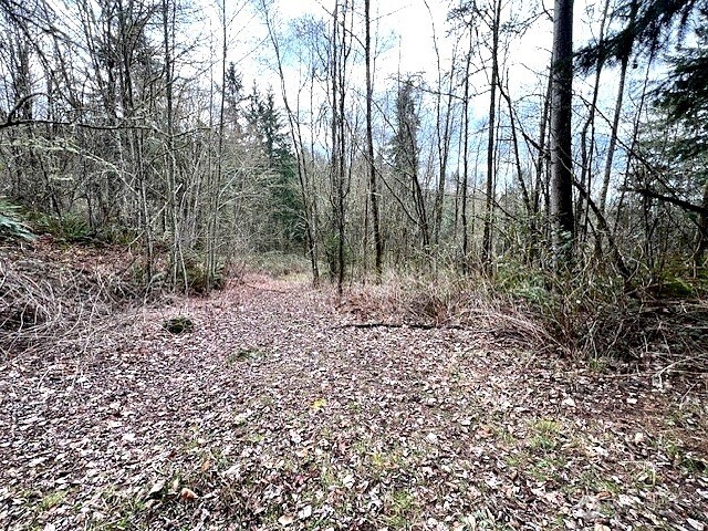 318 Martins Bluff Road Kalama, WA 98625 - Photo 21 of 23 Gallery Image 21
