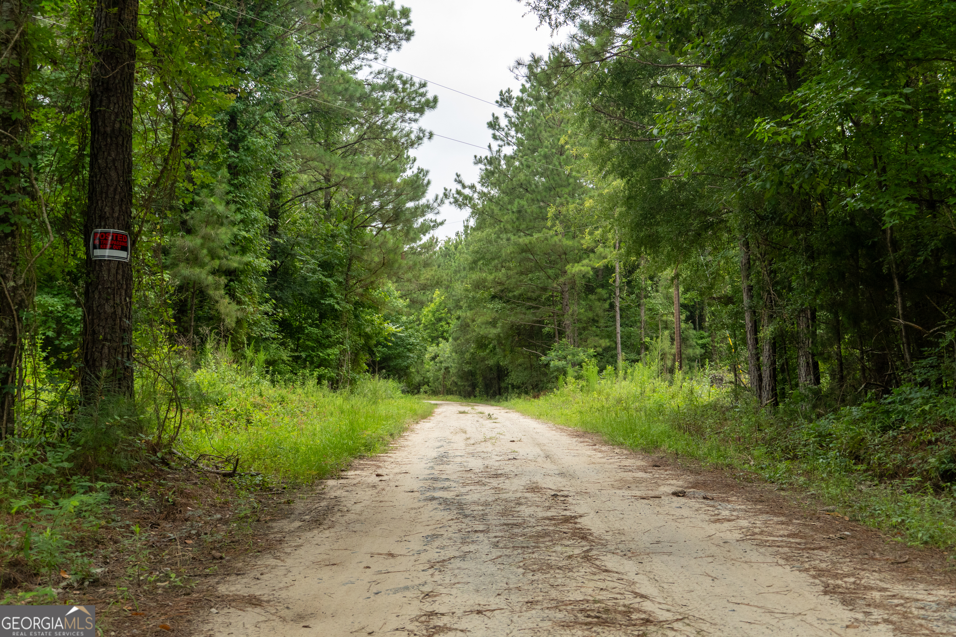 497 River Road Dry Branch, GA 31020 - Photo 2 of 10