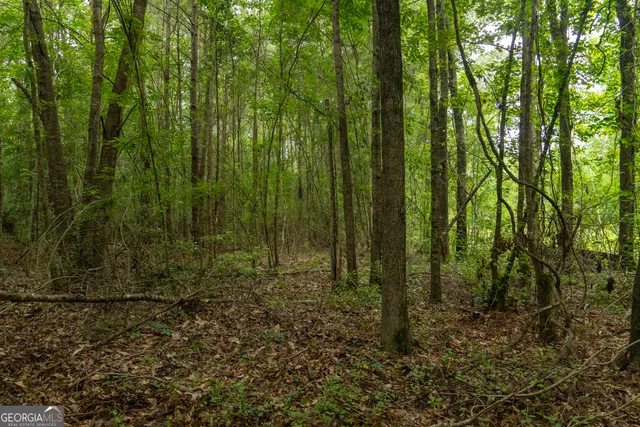 $80,000 | 497 River Road, Dry Branch, GA 31020