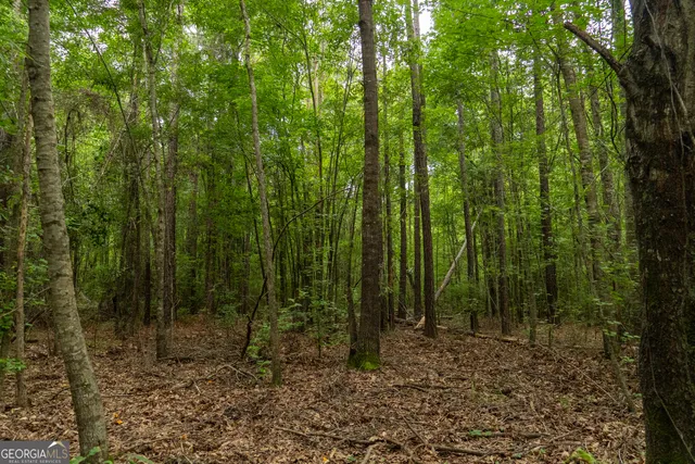 $80,000 | 497 River Road, Dry Branch, GA 31020