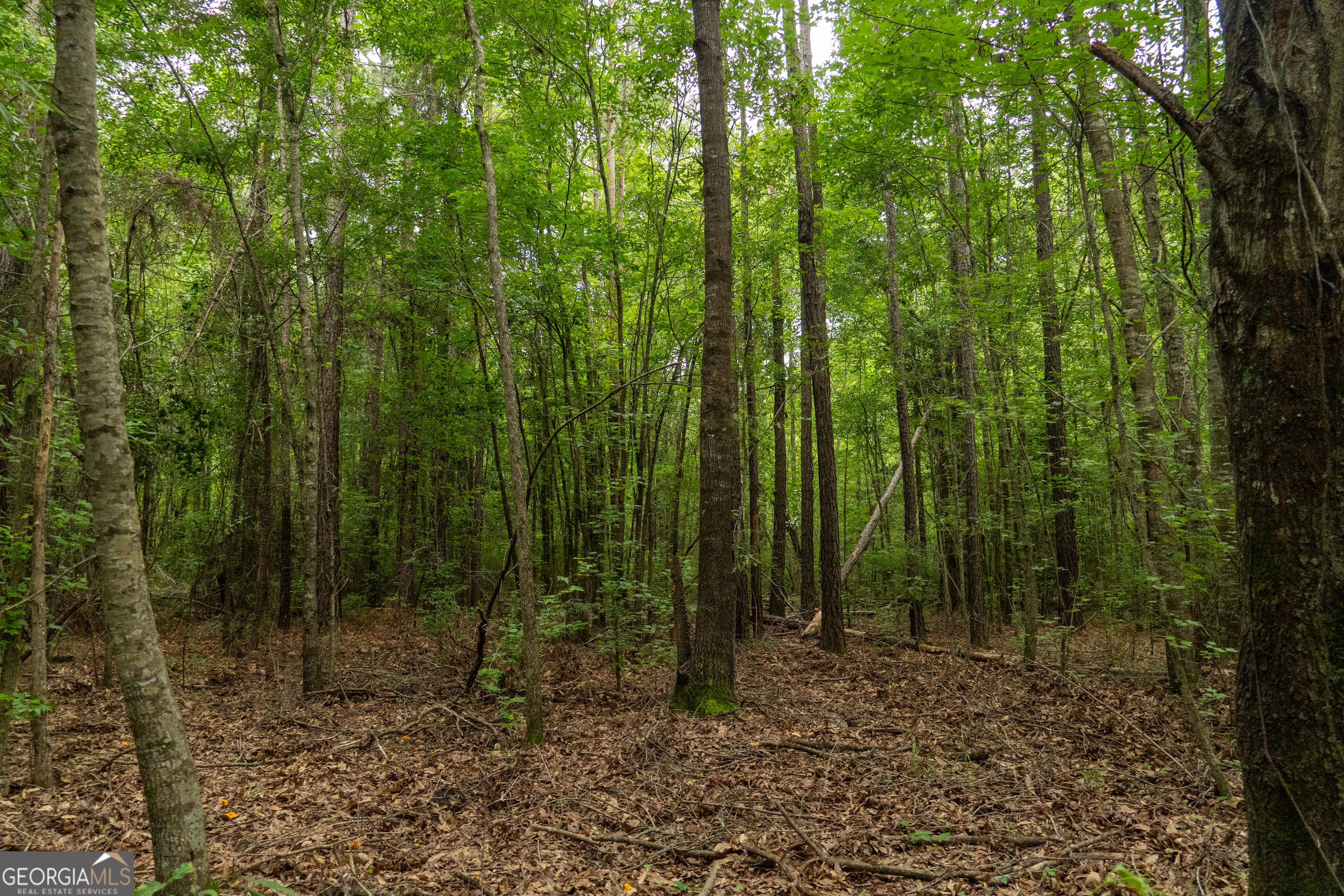 497 River Road Dry Branch, GA 31020 - Photo 4 of 10