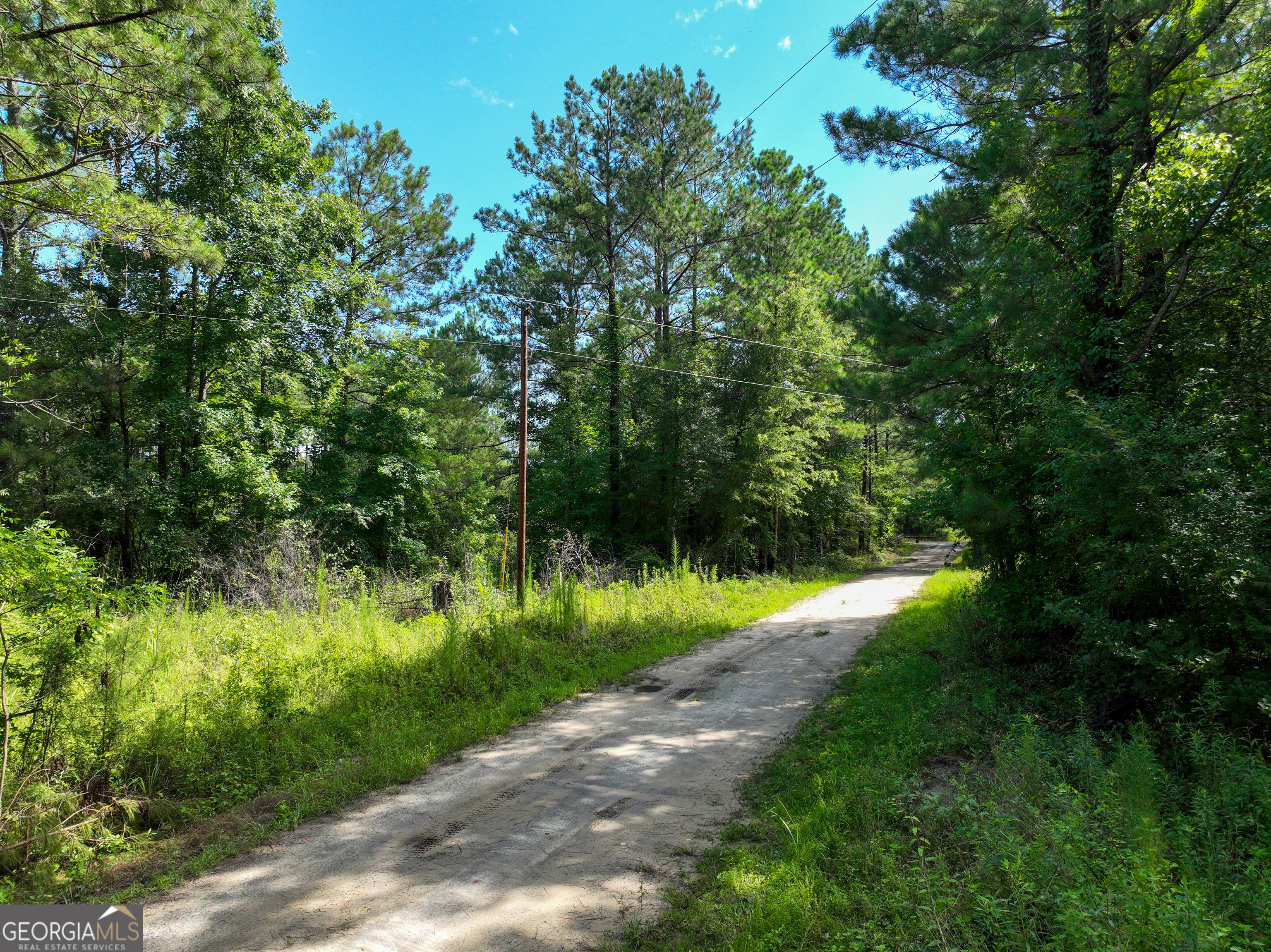 497 River Road Dry Branch, GA 31020 - Photo 5 of 10