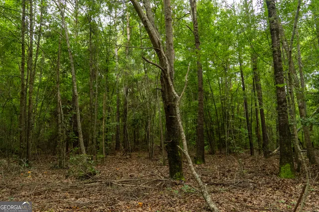 $80,000 | 497 River Road, Dry Branch, GA 31020