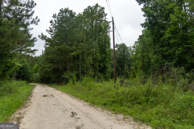 $80,000 | 497 River Road, Dry Branch, GA 31020