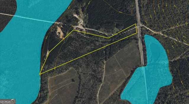 $80,000 | 497 River Road, Dry Branch, GA 31020