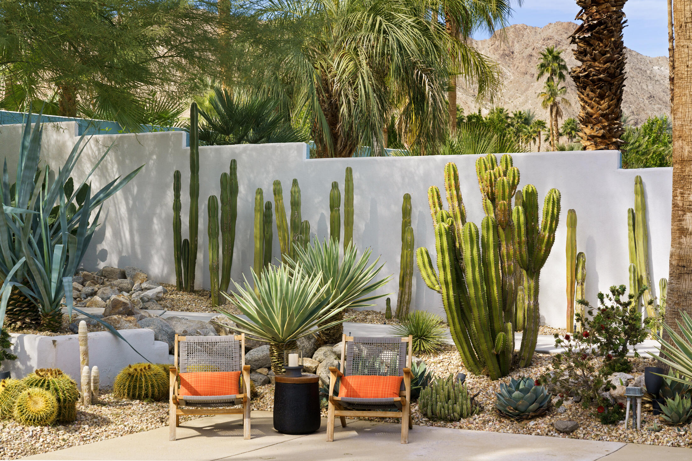 71407 Biskra Road Rancho Mirage, CA 92270 - Photo 55 of 70 Backyard