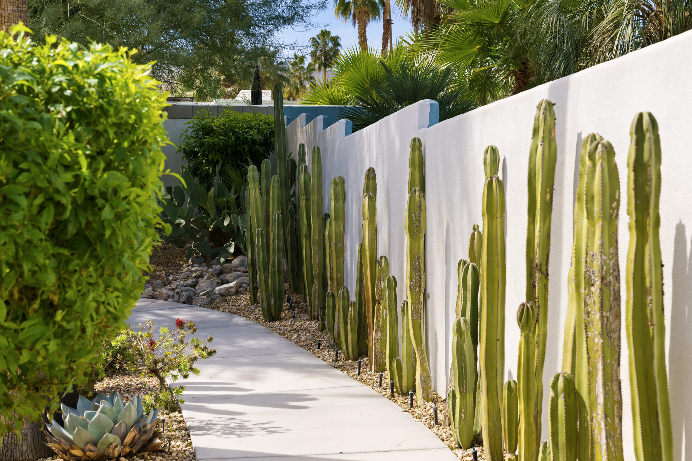 71407 Biskra Road Rancho Mirage, CA 92270 - Photo 55 of 69 Backyard Entry