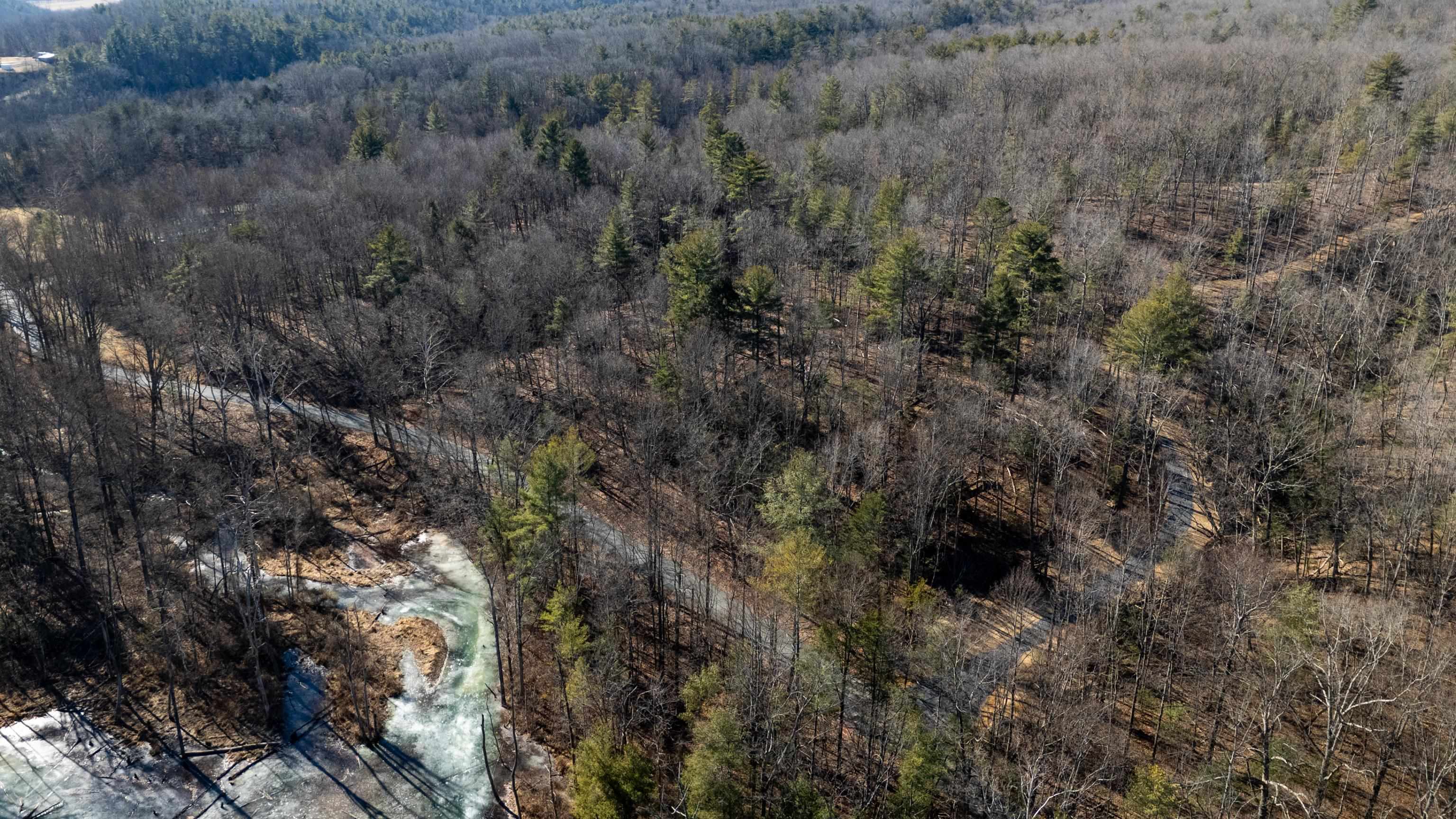24.97-ac Stribling Springs Road Mount Solon, VA 22843 - Photo 10 of 34 a view of a forest with a tree