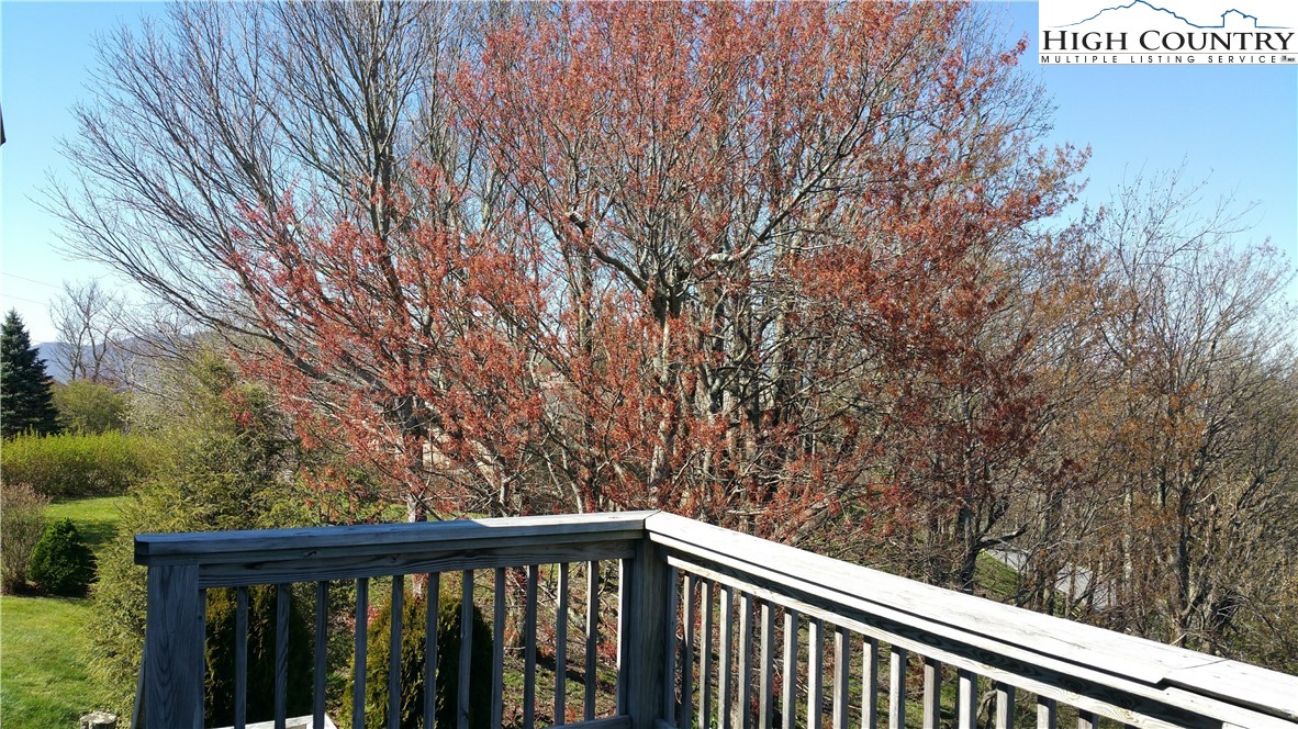 427 Rambling Road Blowing Rock, NC 28605 - Photo 44 of 50 Gallery Image 44