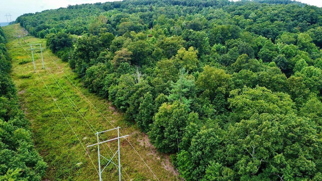 185 Raccoon Ridge Road Spring City, TN 37381 - Photo 24 of 37 Gallery Image 24