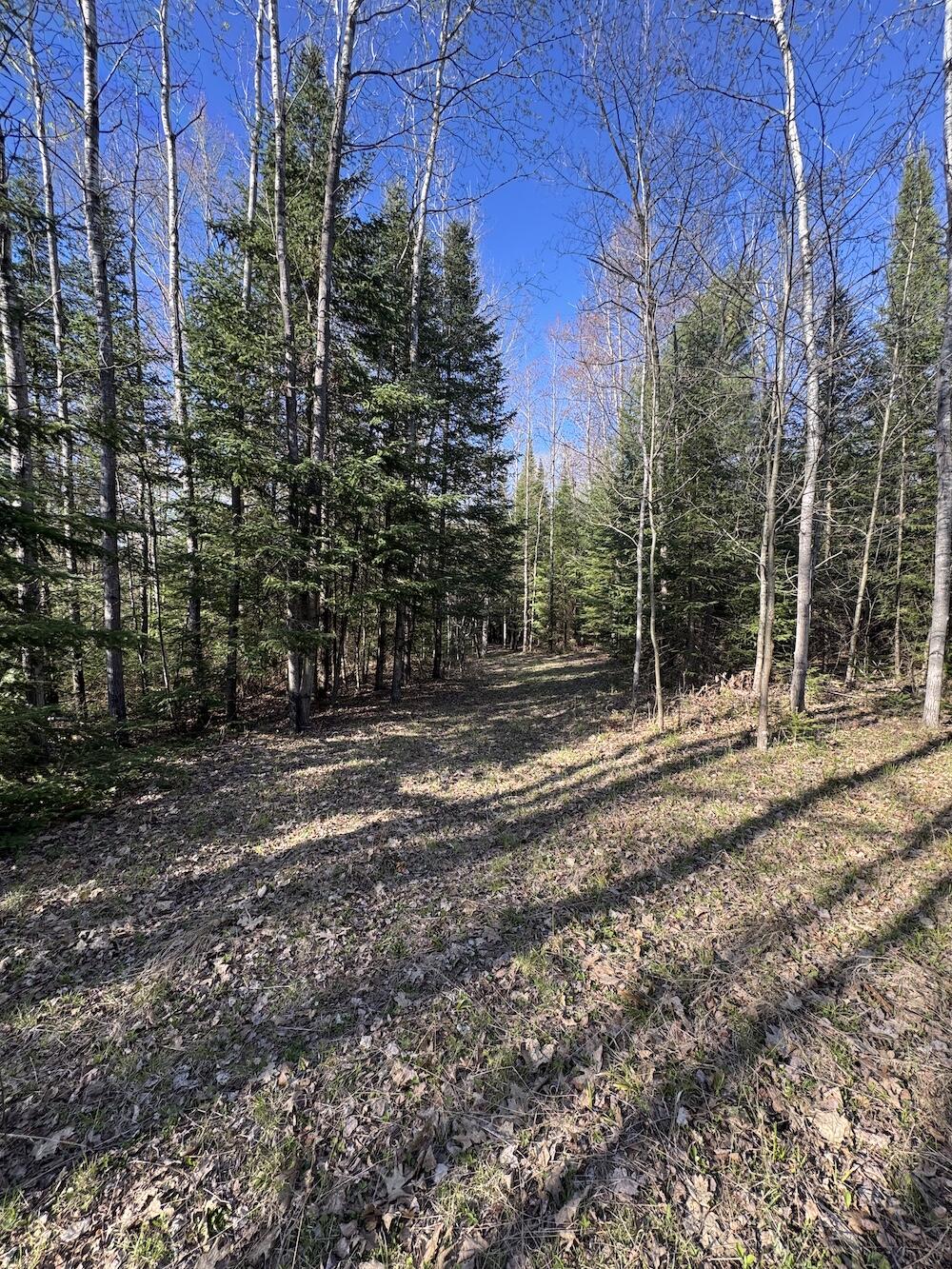 Lot 9 V/l Wildwood Road Alger, MI 48610 - Photo 4 of 40 IMG_2753