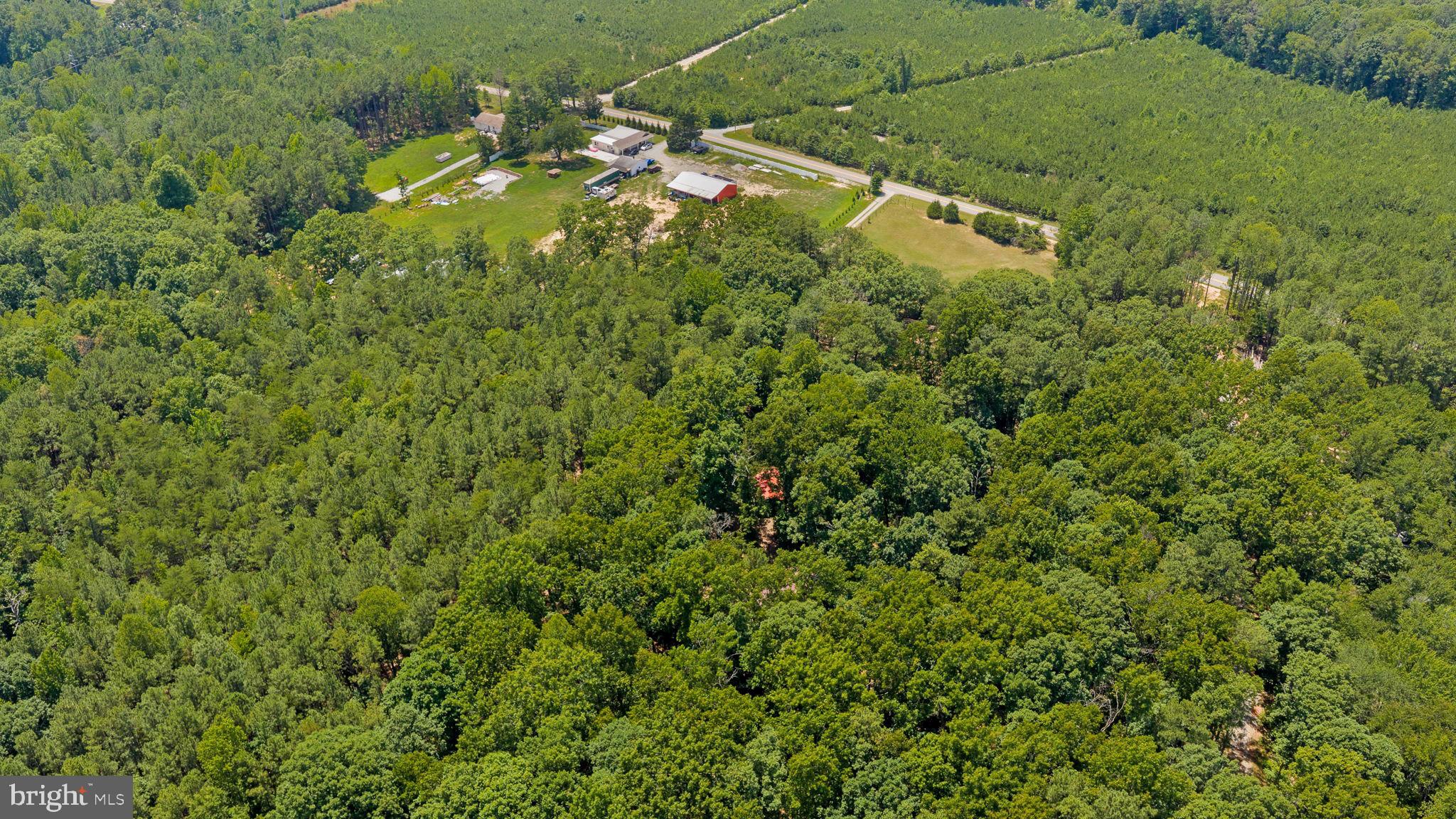 1564 Bethany Church Road Bumpass, VA 23024 - Photo 75 of 81