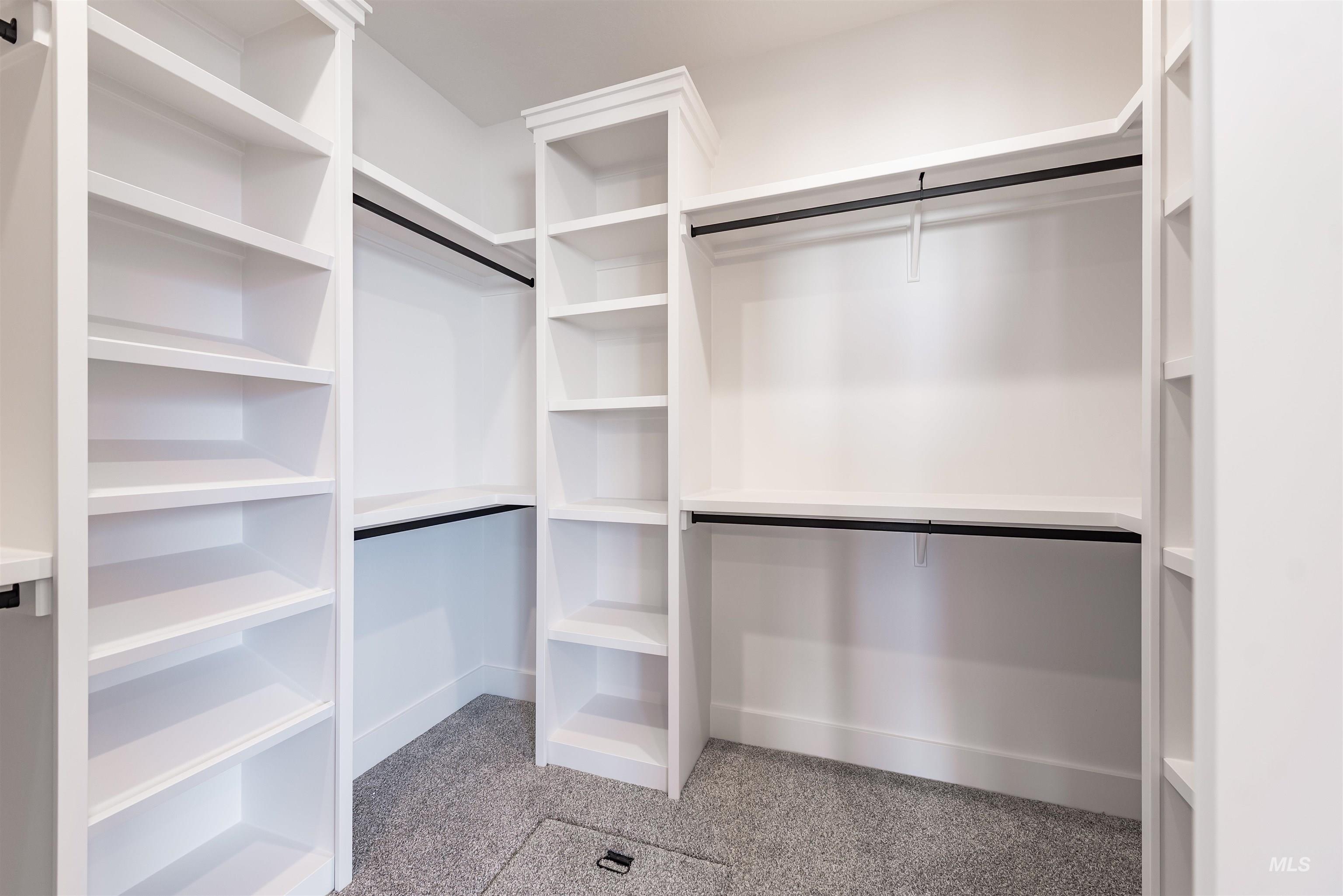 400 South Diesel Way Boise, ID 83716 - Photo 24 of 44 Walk in closet featuring light colored carpet