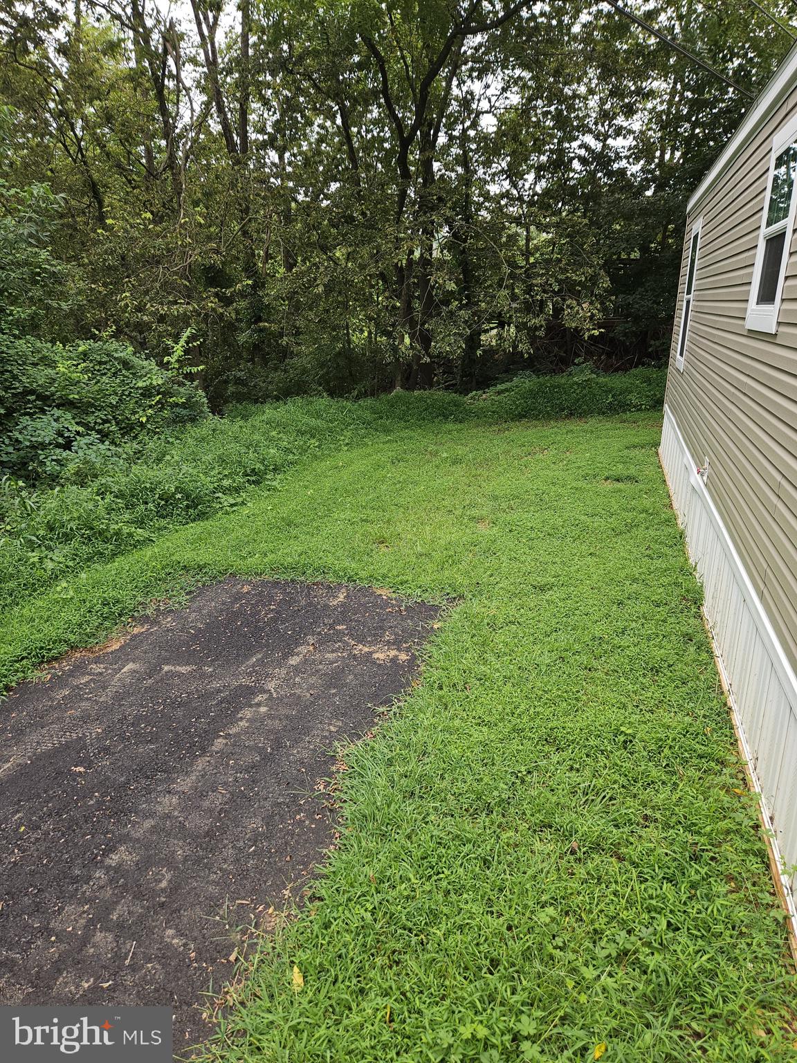 465 Royal Manor Road Easton, PA 18042 - Photo 11 of 14 a view of a yard with a trees