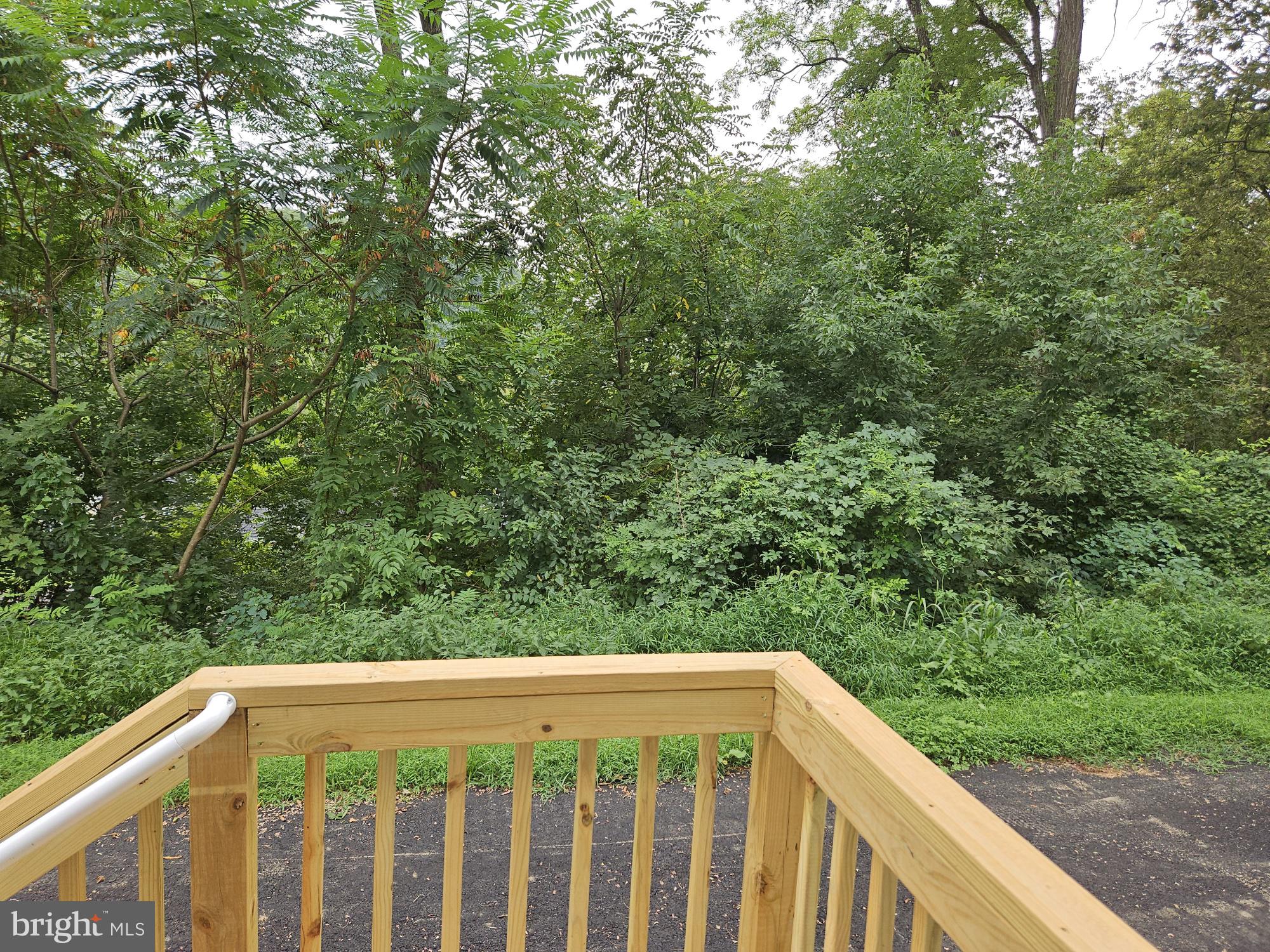 465 Royal Manor Road Easton, PA 18042 - Photo 10 of 14 a view of a green field with trees in the background