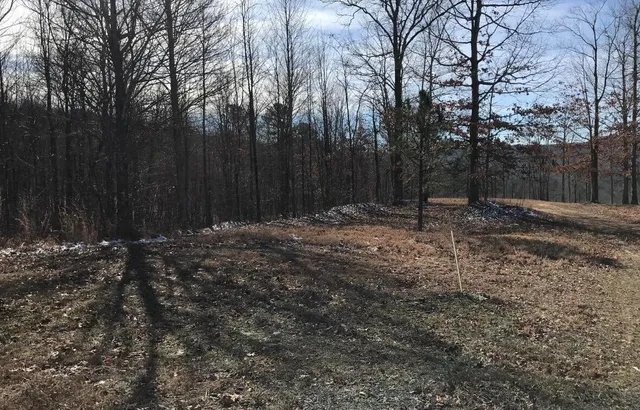 $70,000 | 0 Chestnut Oak Drive, Unit 309, Dunlap, TN 37327