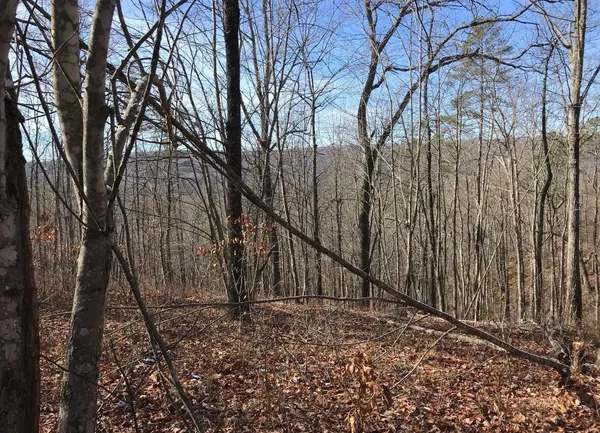 $65,000 | 0 Chestnut Oak Drive, Unit 309, Dunlap, TN 37327