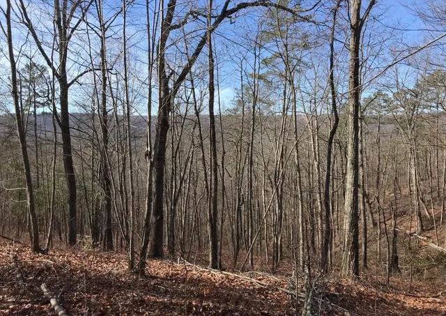 $70,000 | 0 Chestnut Oak Drive, Unit 309, Dunlap, TN 37327