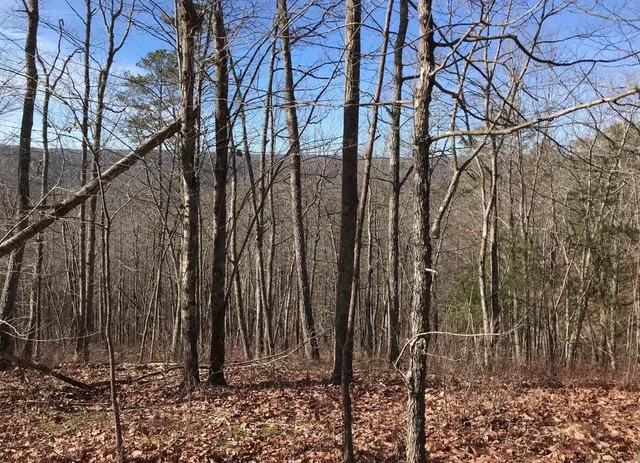 $70,000 | 0 Chestnut Oak Drive, Unit 309, Dunlap, TN 37327