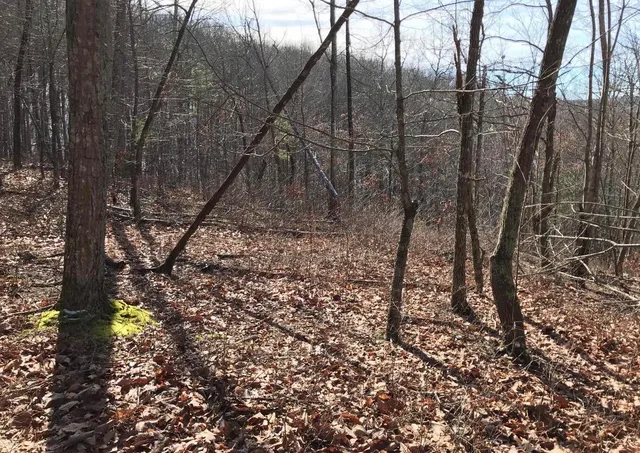 $70,000 | 0 Chestnut Oak Drive, Unit 309, Dunlap, TN 37327