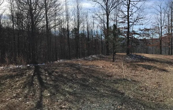 $65,000 | 0 Chestnut Oak Drive, Unit 309, Dunlap, TN 37327