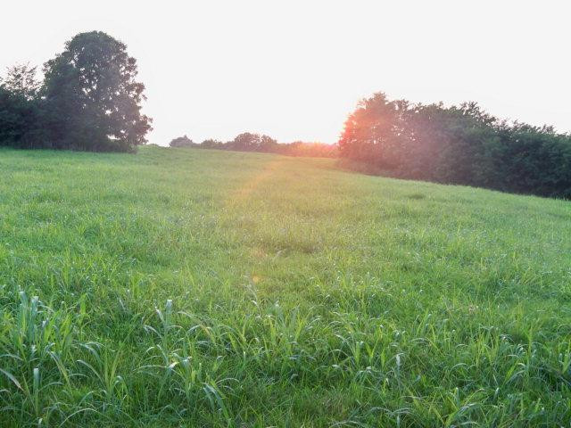 3798 White Lick Road Paint Lick, KY 40461 - Photo 2 of 14 Photo 2