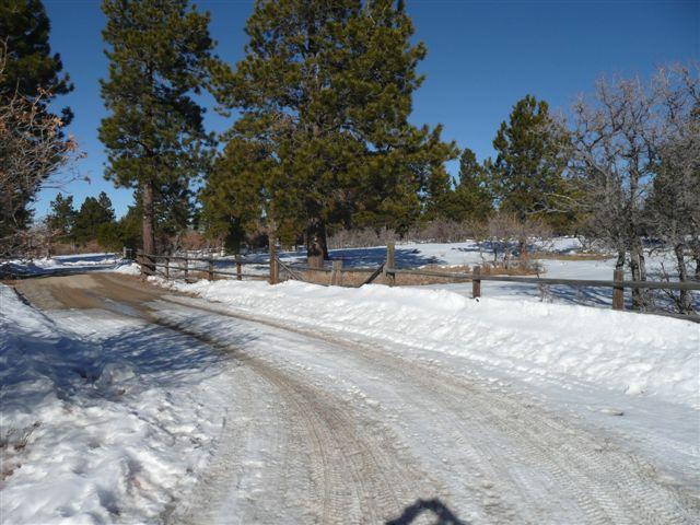 185 South Point Road Placerville, CO 81430 - Photo 13 of 15 Road on property