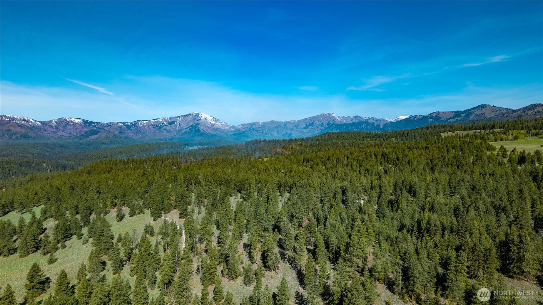 0 Mineral Hill Road Conconully, WA 98819 - Photo 12 of 30 a view of an lush green mountain