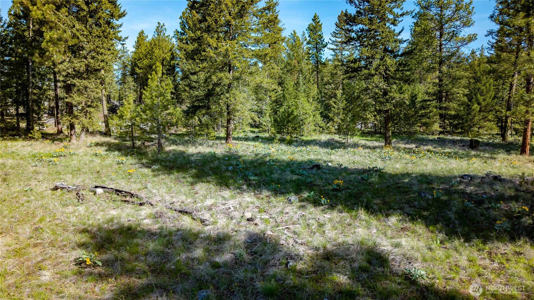 0 Mineral Hill Road Conconully, WA 98819 - Photo 13 of 30 a view of a yard with plants and trees
