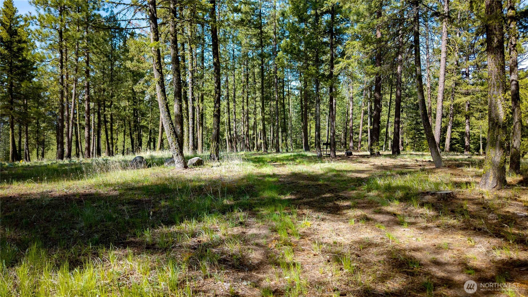 0 Mineral Hill Road Conconully, WA 98819 - Photo 21 of 30 a view of park space