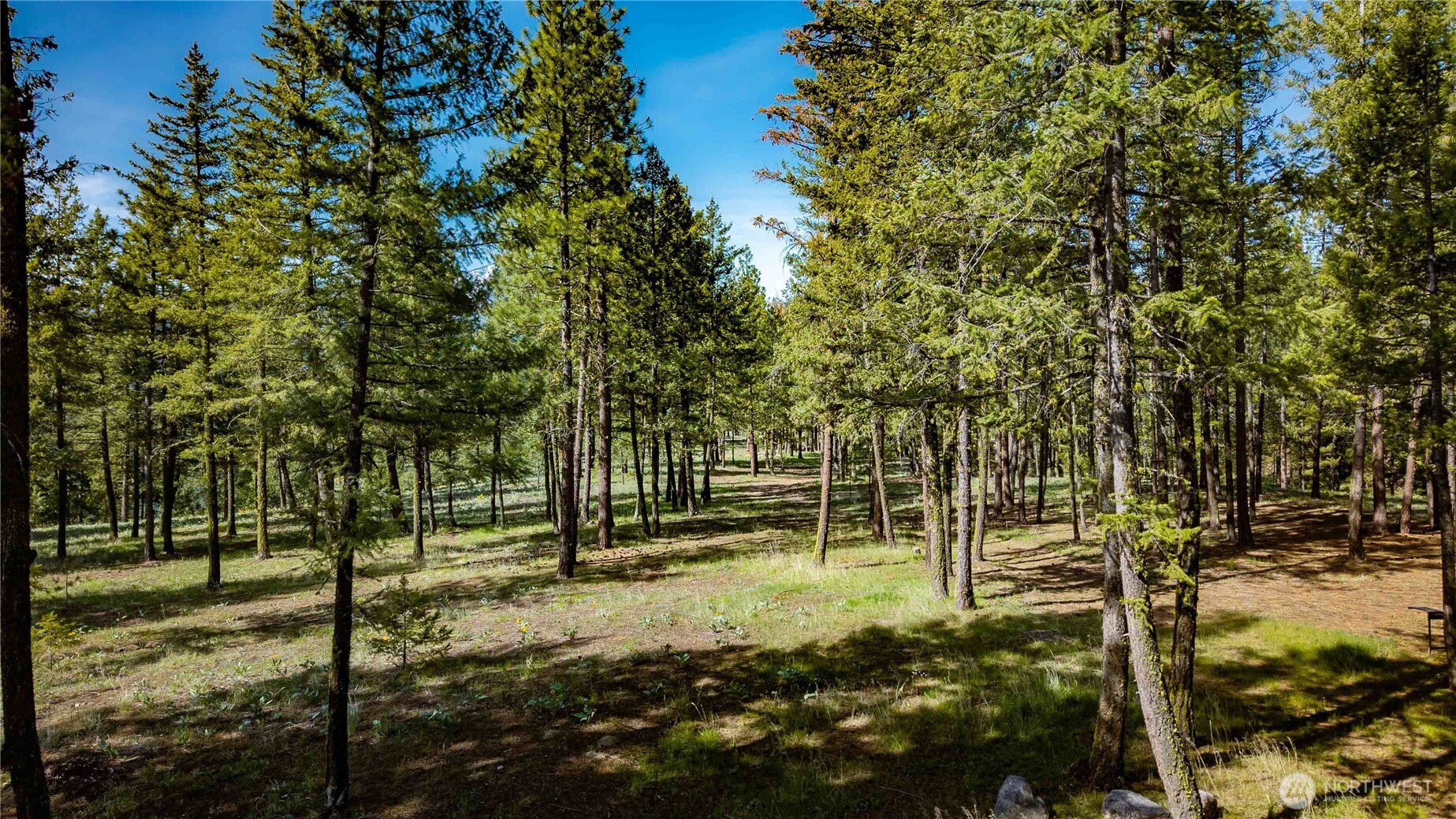0 Mineral Hill Road Conconully, WA 98819 - Photo 22 of 30 a view of yard