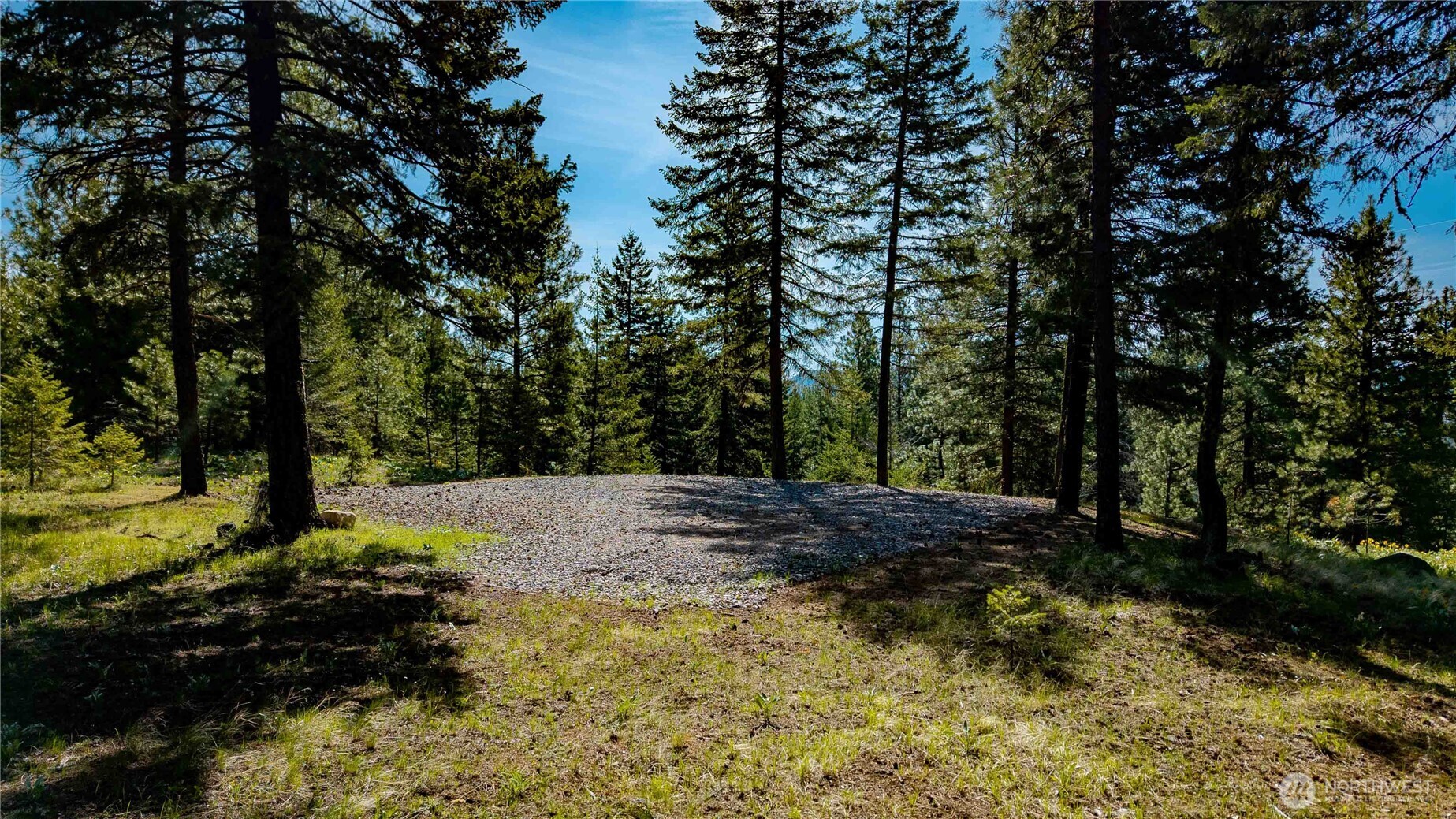 0 Mineral Hill Road Conconully, WA 98819 - Photo 23 of 30 a view of a yard with plants and trees