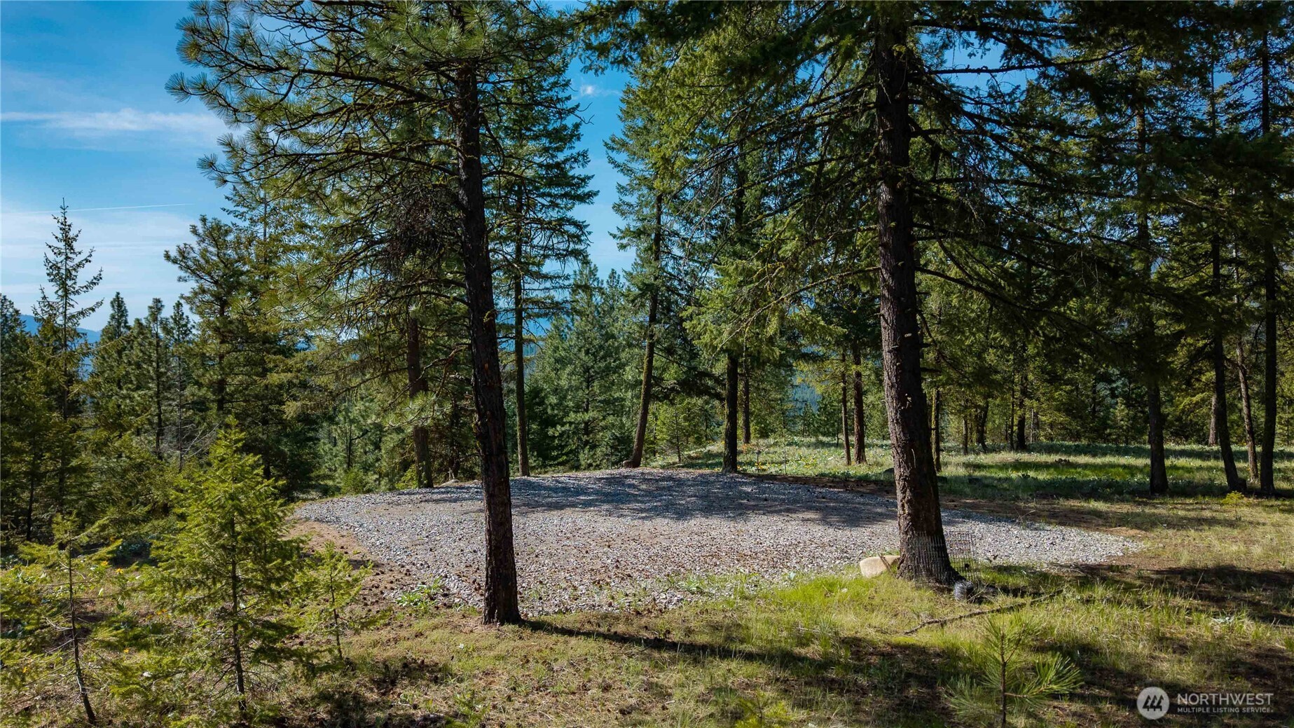 0 Mineral Hill Road Conconully, WA 98819 - Photo 24 of 30 a view of a tree in a yard