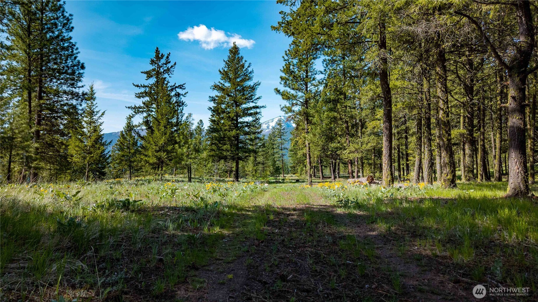 0 Mineral Hill Road Conconully, WA 98819 - Photo 27 of 30 a view of outdoor space and yard