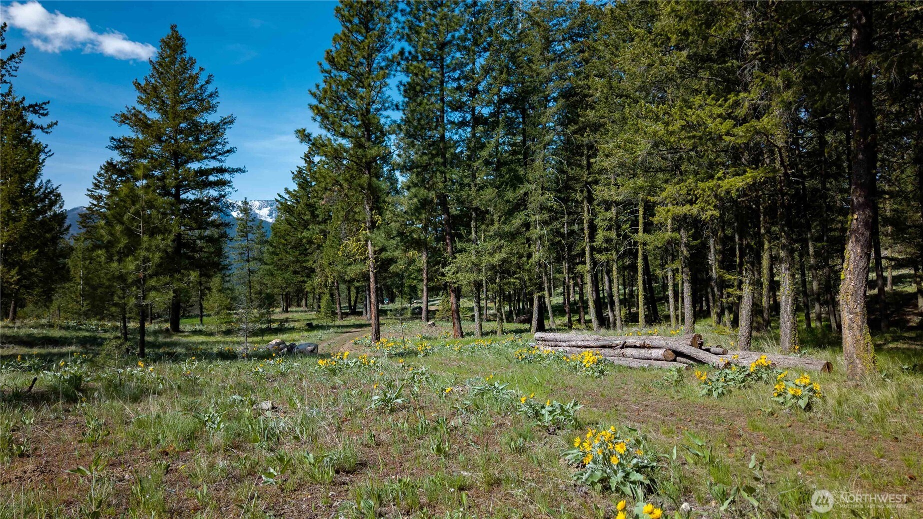 0 Mineral Hill Road Conconully, WA 98819 - Photo 28 of 30 a view of outdoor space with green field and trees