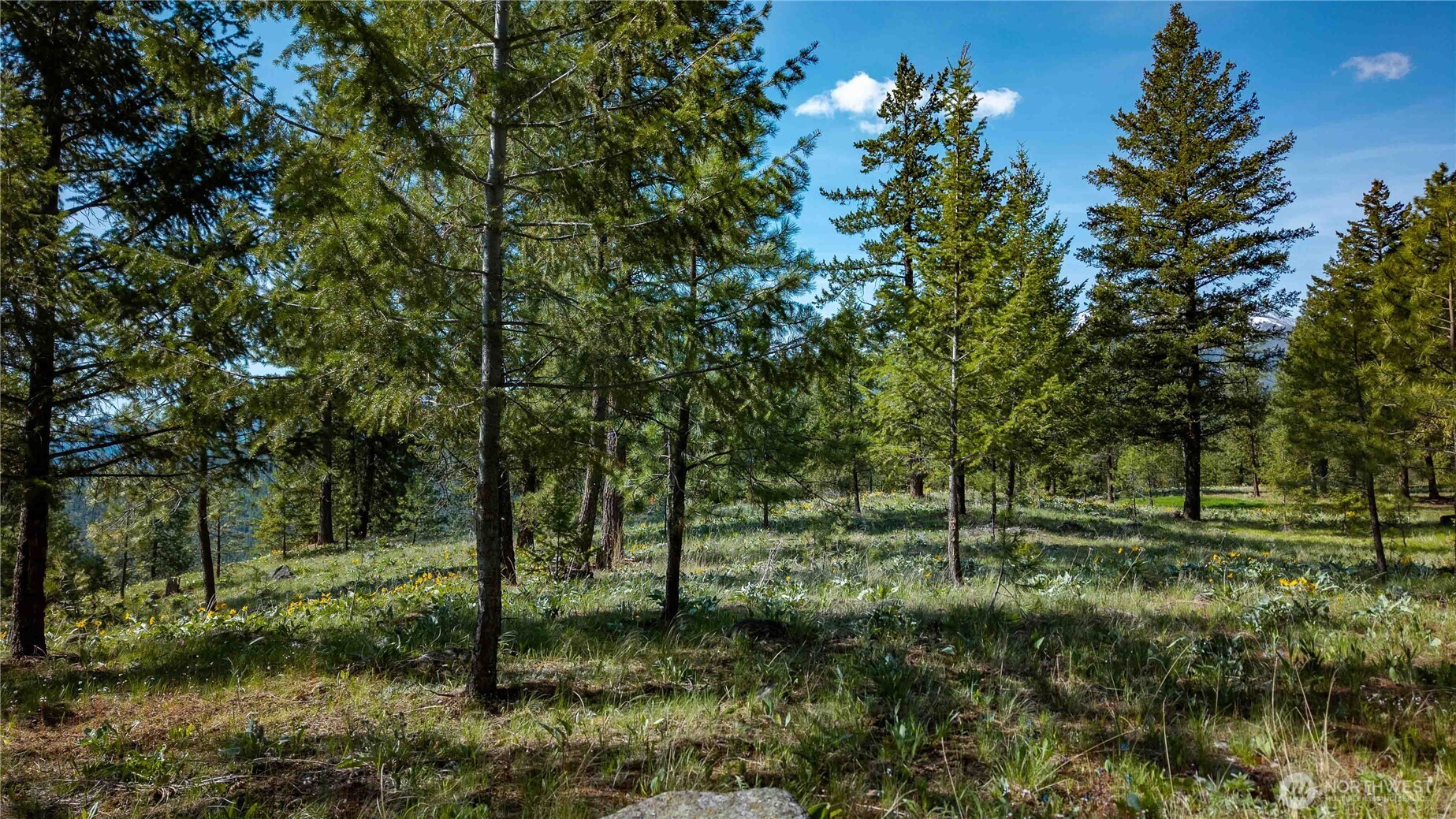 0 Mineral Hill Road Conconully, WA 98819 - Photo 29 of 30 a view of outdoor space and yard