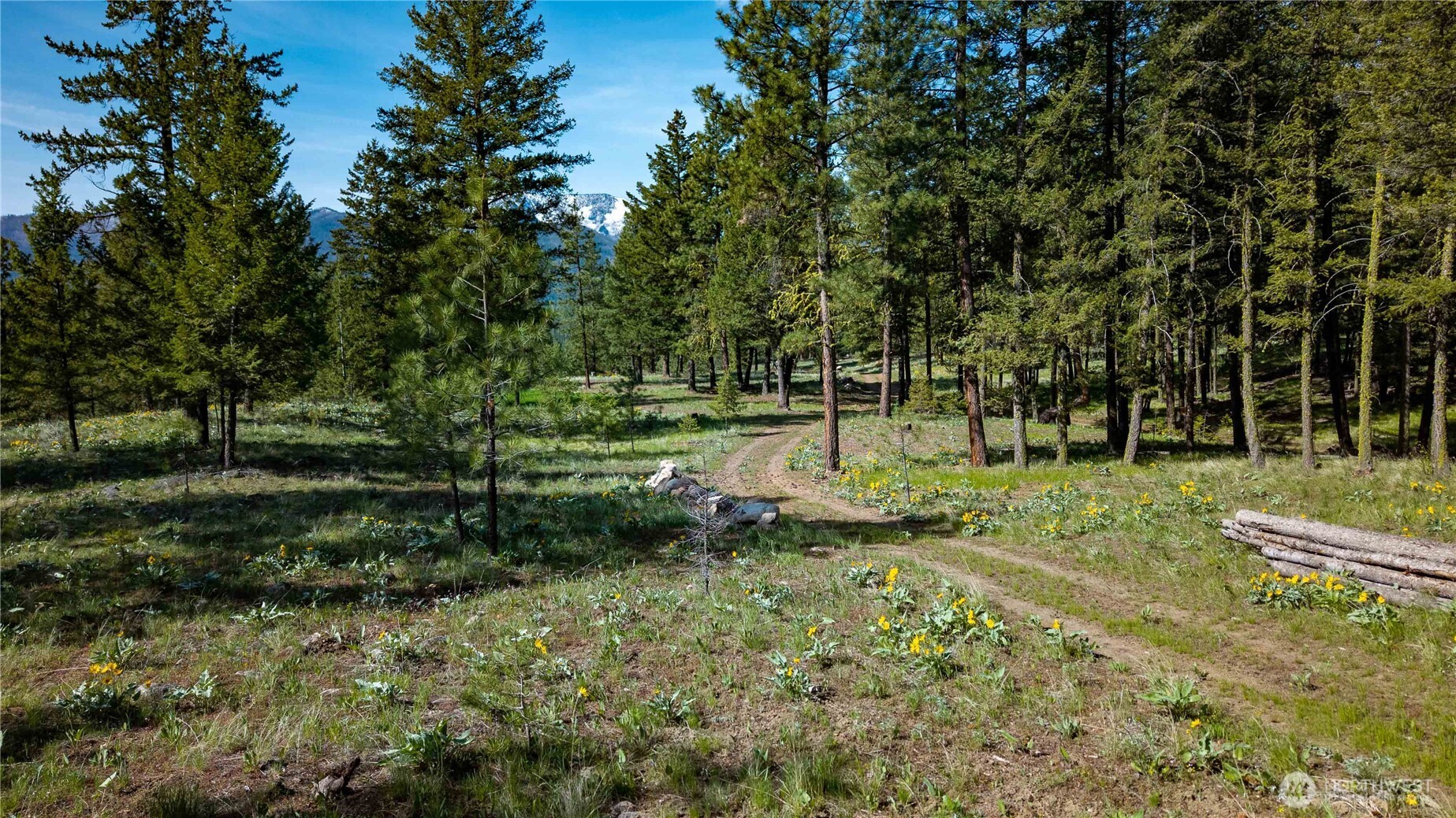 0 Mineral Hill Road Conconully, WA 98819 - Photo 30 of 30 a view of a park with large trees