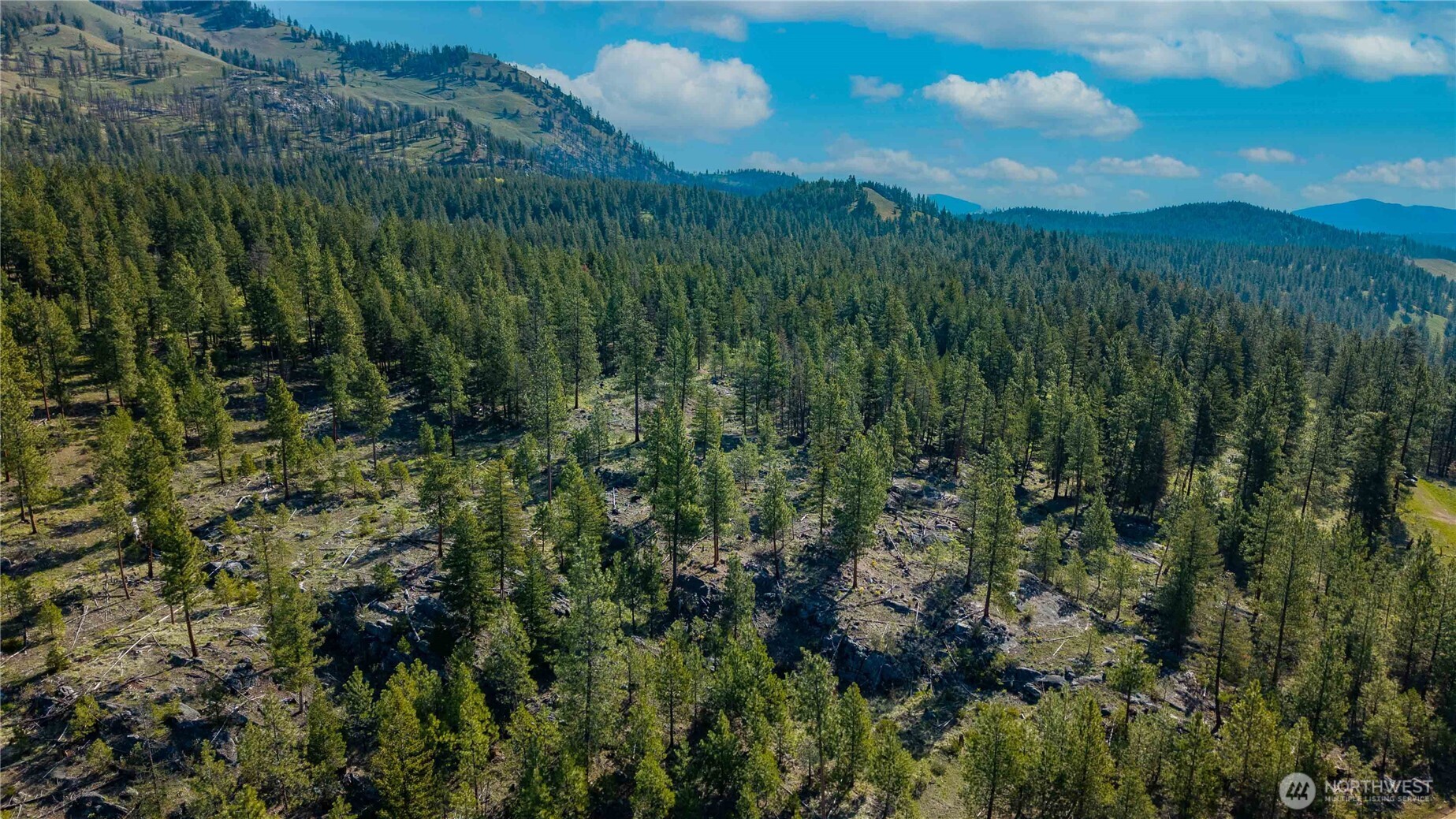 0 Mineral Hill Road Conconully, WA 98819 - Photo 5 of 30 a view of a lush green forest with a mountain