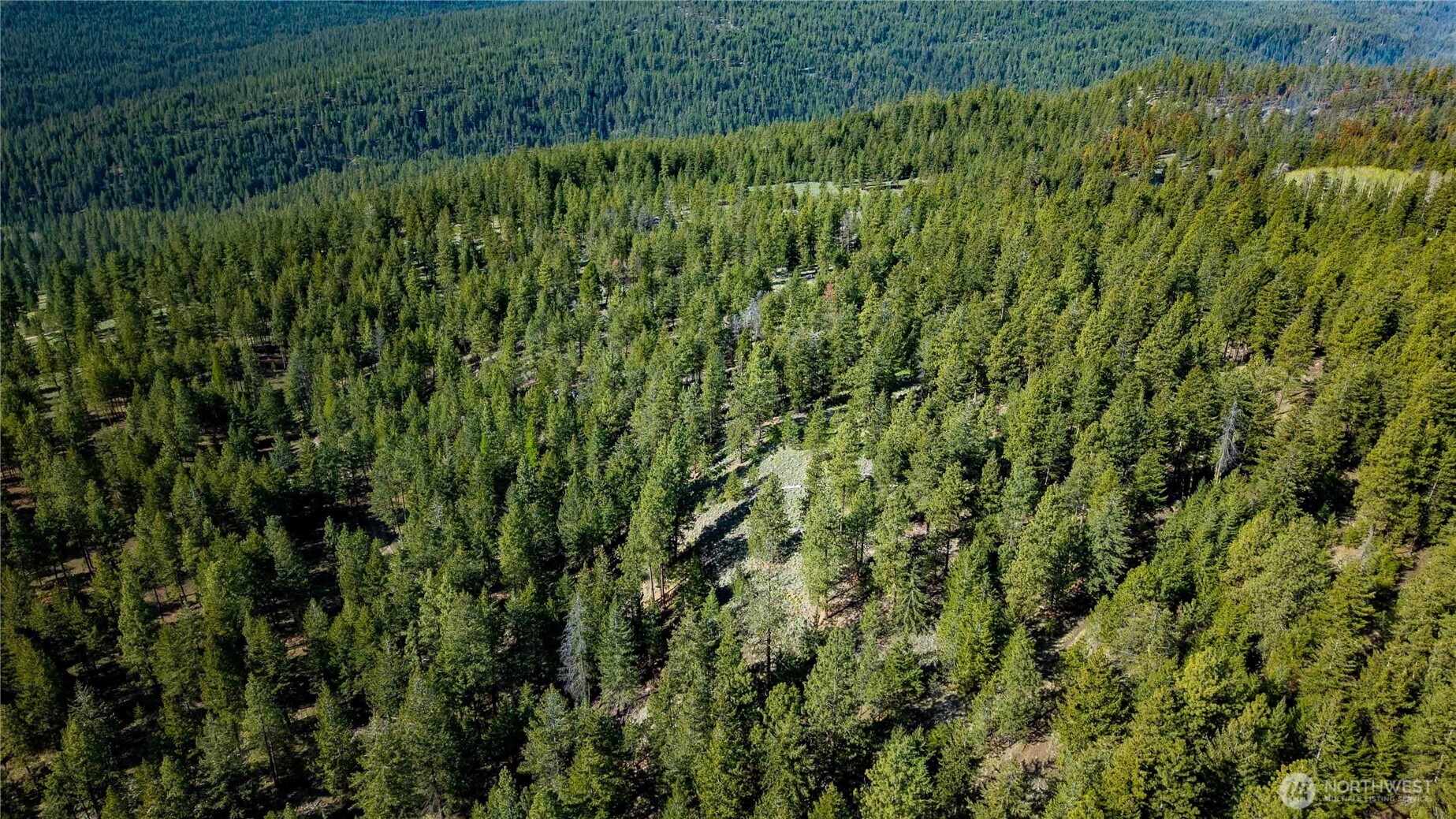 0 Mineral Hill Road Conconully, WA 98819 - Photo 9 of 30 a view of a lush green forest with a lush green forest