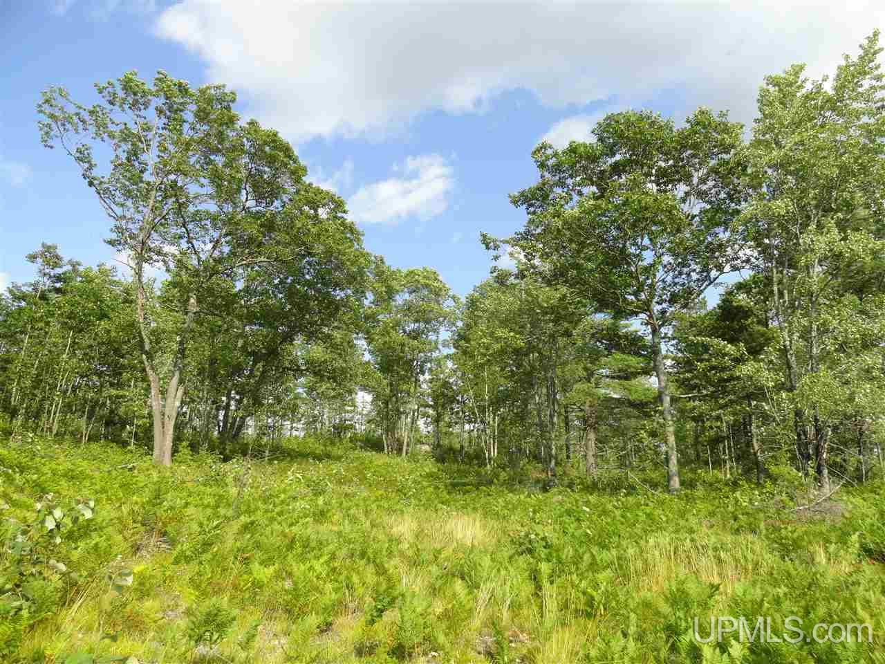 143-acres County Rd FF Republic, MI 49879 - Photo 15 of 18