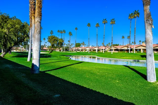 a view of a park with a tree