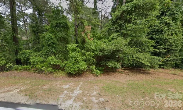 a view of a forest with a tree