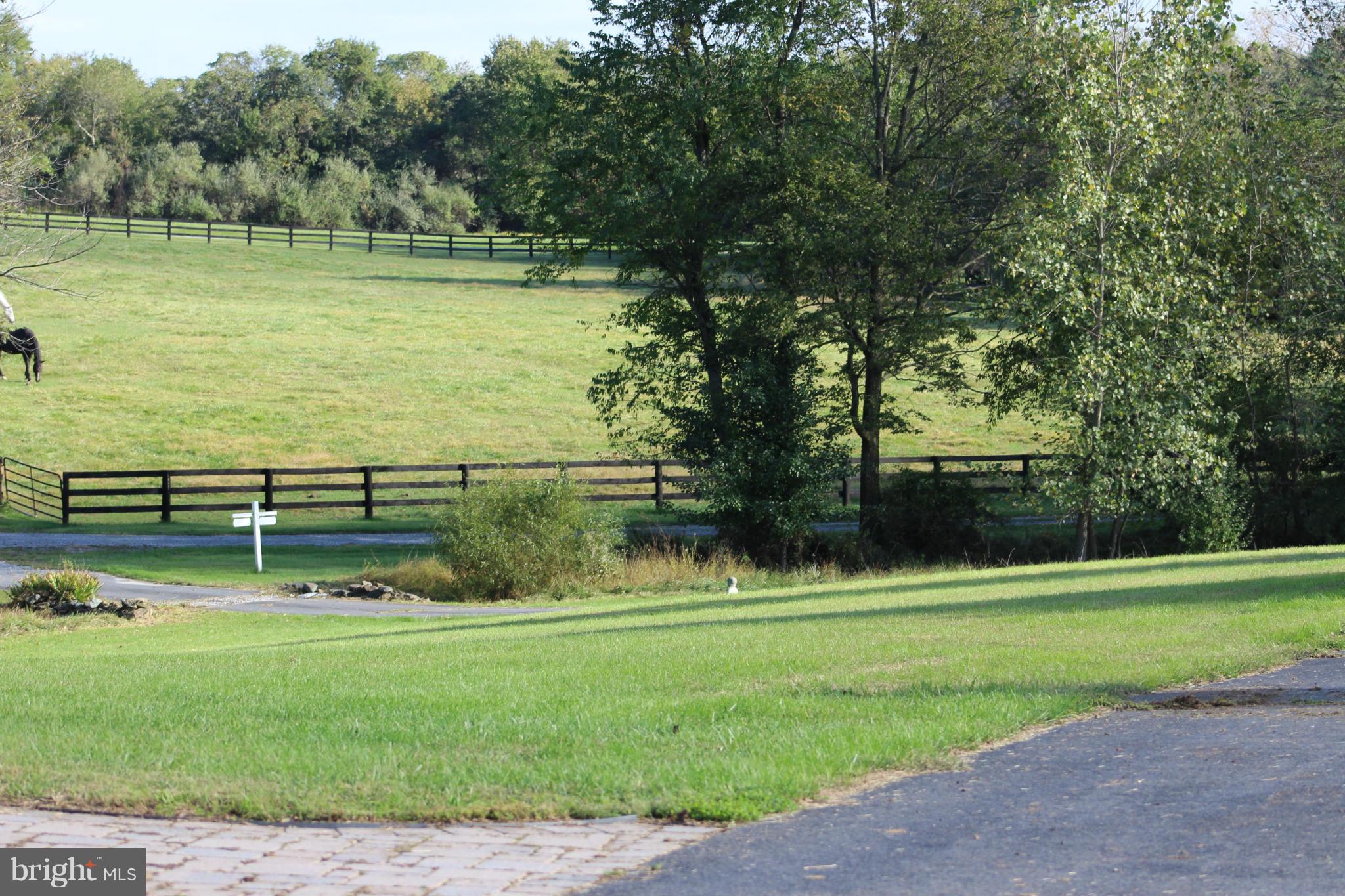 39518 Rodeffer Road Lovettsville, VA 20180 - Photo 10 of 20 Exterior (General)